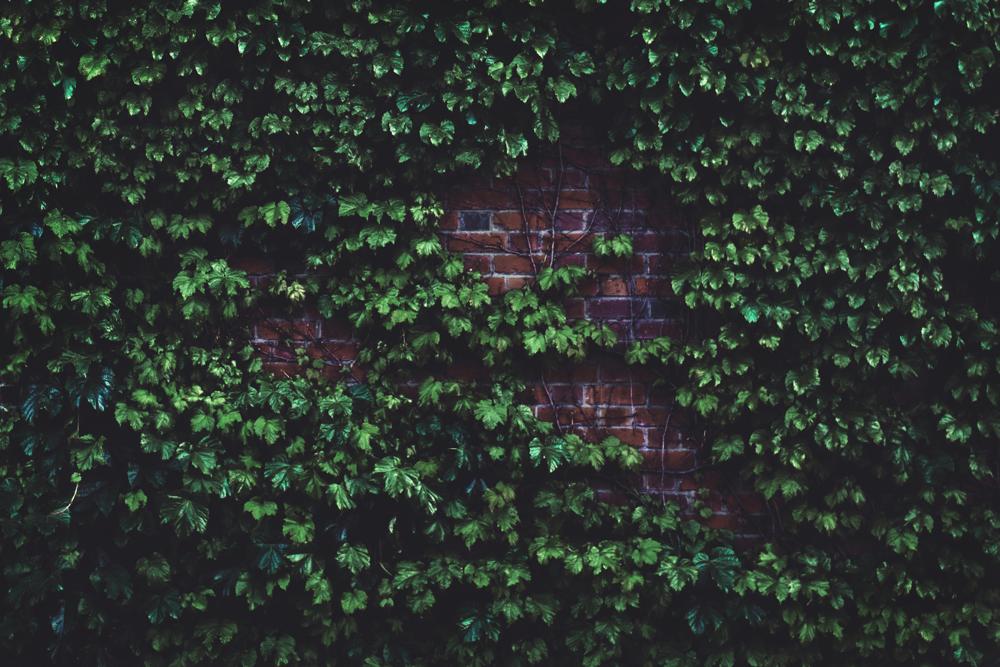 Brick wall